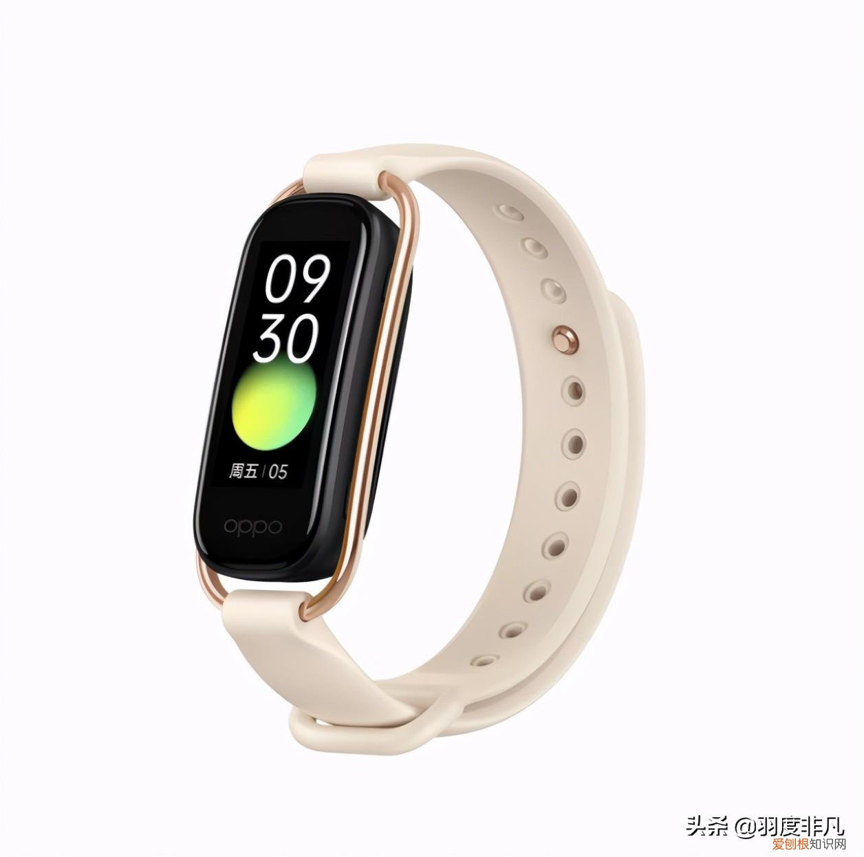 OPPO手环活力版即将开售