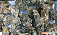 生蚝长什么样，牡蛎和生蚝一样吗?图片