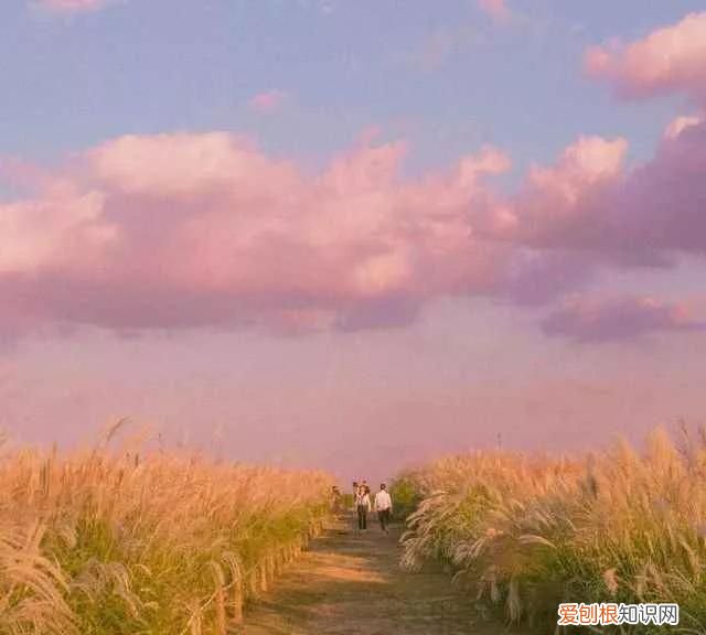 有着特殊寓意的英文网名