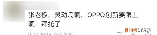 iphone14pro的灵动岛不显示信息