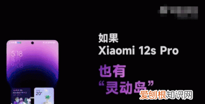 iphone14pro的灵动岛不显示信息