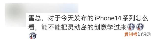 iphone14pro的灵动岛不显示信息