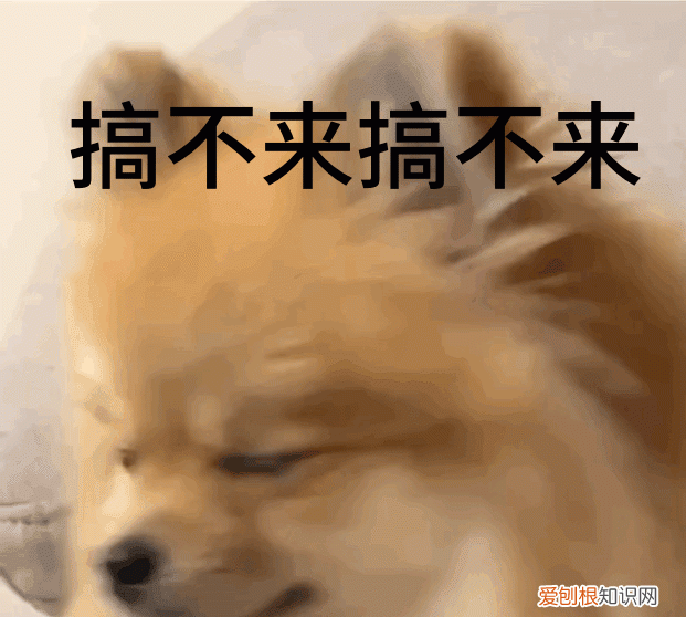 iphone14pro的灵动岛不显示信息