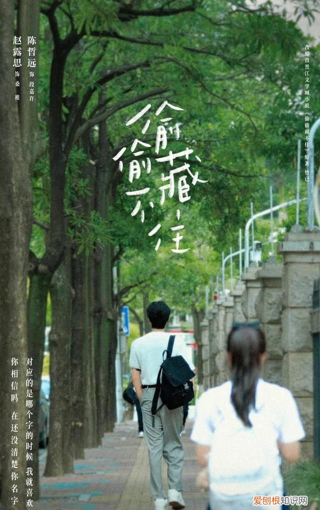 想偷偷把你藏起来 偷偷藏不住偷偷藏不住