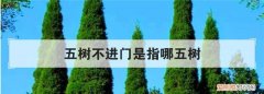 五树不进门是指哪五树，农村在自己家门口栽树合法