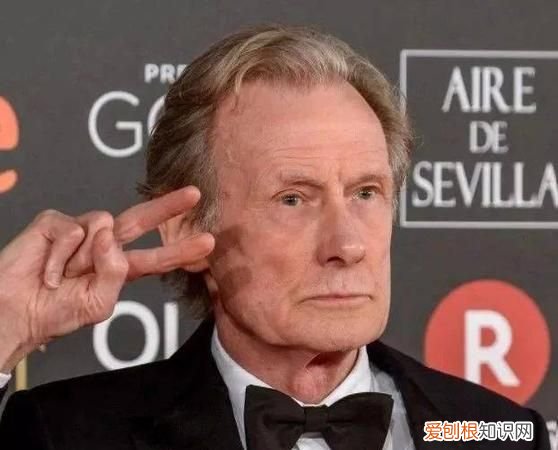 手死一任什么意思，“生于深宫之中长于妇人之手”是什么意思