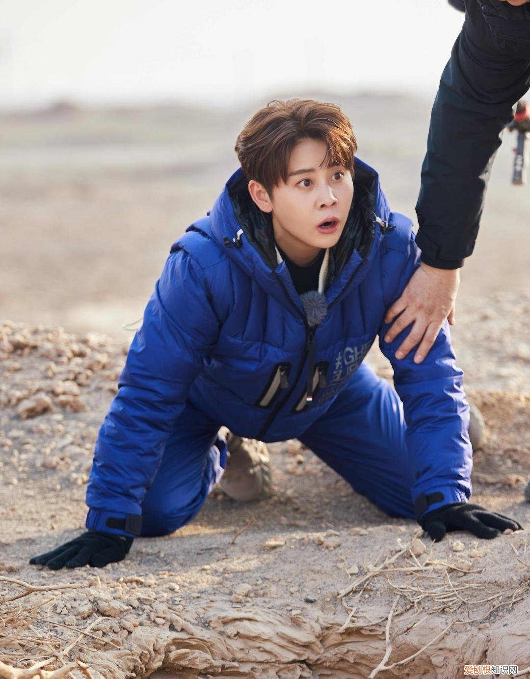 网红运动员王濛违约被起诉，冬奥会走红后接私活捞钱