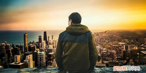 人类属于什么科属种,股票属于什么科目什么类