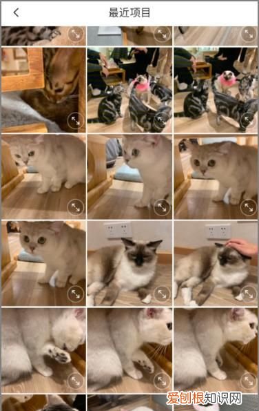 怎么把相册照片合成一张,用手机怎么把多张照片合成一张图