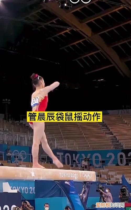 为什么要学袋鼠摇手,管晨辰袋鼠摇手是规定动作吗