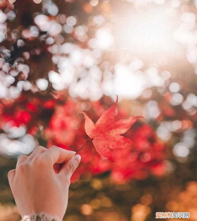 星河滚烫适合对恋人说吗