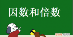 什么是因数什么是倍数五年级下册