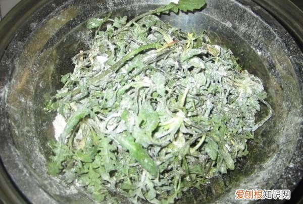 蒸荠菜的做法教你怎么做蒸荠菜
