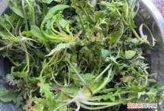 蒸荠菜的做法教你怎么做蒸荠菜