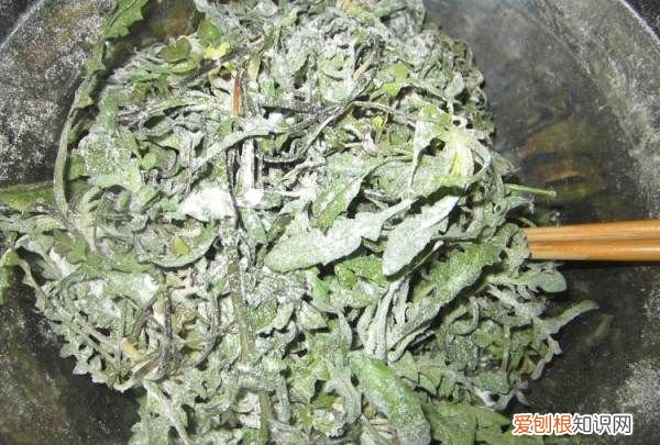 蒸荠菜的做法教你怎么做蒸荠菜