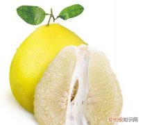 柚子是凉性还是热性，梨瓜是带热的还是凉的