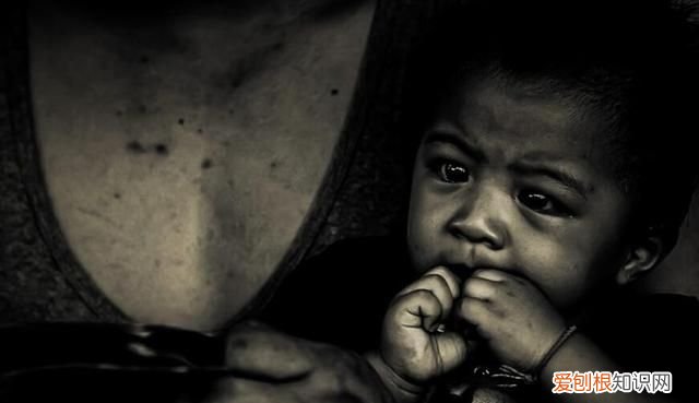 怎样用好抓拍技巧,推荐这7个实用的抓拍方法