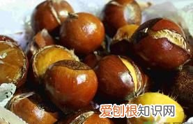 生板栗开口了还能吃,板栗发芽了煮熟能吃吗