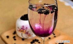 泡黑枸杞用多少度的水，黑枸杞用热水泡是否掉色