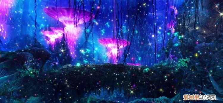 奇幻仙境什么时候结束,爱丽丝梦游仙境2放映时间到什么时候