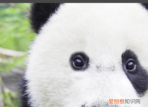 PS仿制图章怎么涂不上，ps中为什么仿制图章工具不能使用