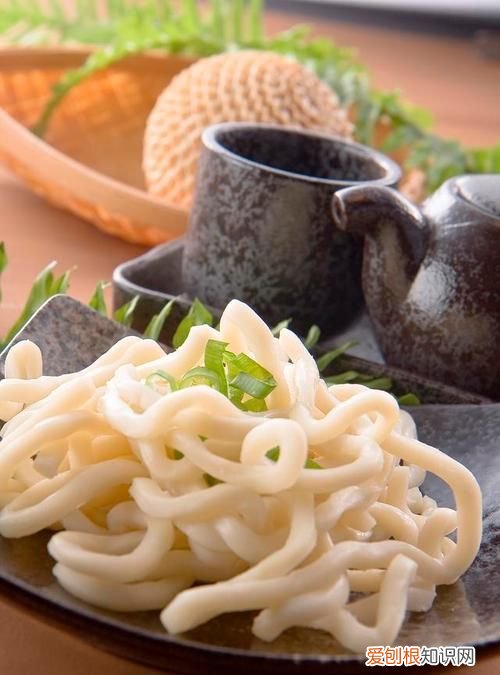 乌冬是什么东西,乌冬的旅店去沙漠带什么