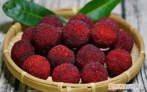 路边的杨梅可以吃吗,刚采摘的杨梅放在地下室一夜行