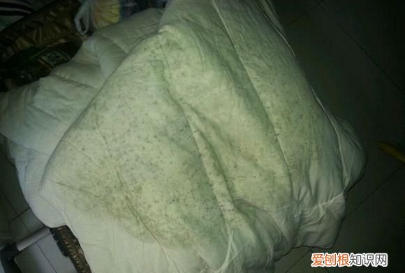 被子发霉了能睡吗
