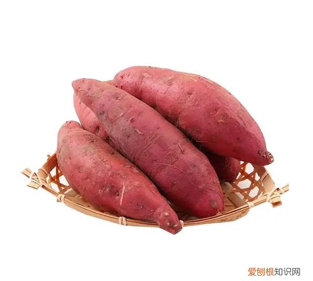 蜜薯和红薯什么区别，蜜薯和红薯外表有什么区别