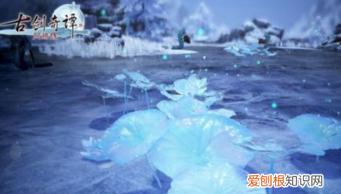 剑网三鱼肉怎么获得，古剑奇谭3龙王鱼如何获得