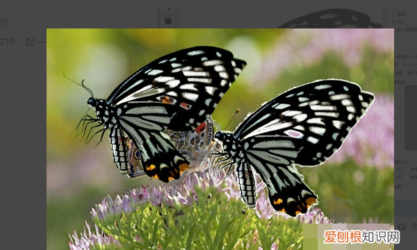 PS怎么导出GIF格式的动图