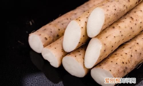 白嘴山药和铁棍哪个营养高