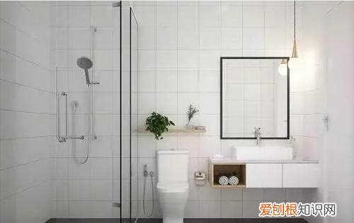 蟑螂是怎么出现在家里的它会偷袭人