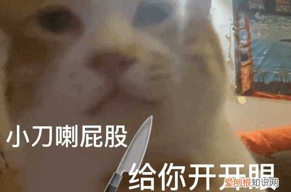 4999的iphone14值得买吗