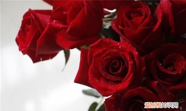 珍惜彼此感情的句子句句走心,希望珍惜彼此感情的句子有内涵