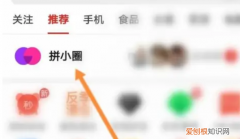 怎么加拼多多好友，拼多多怎么才能加好友