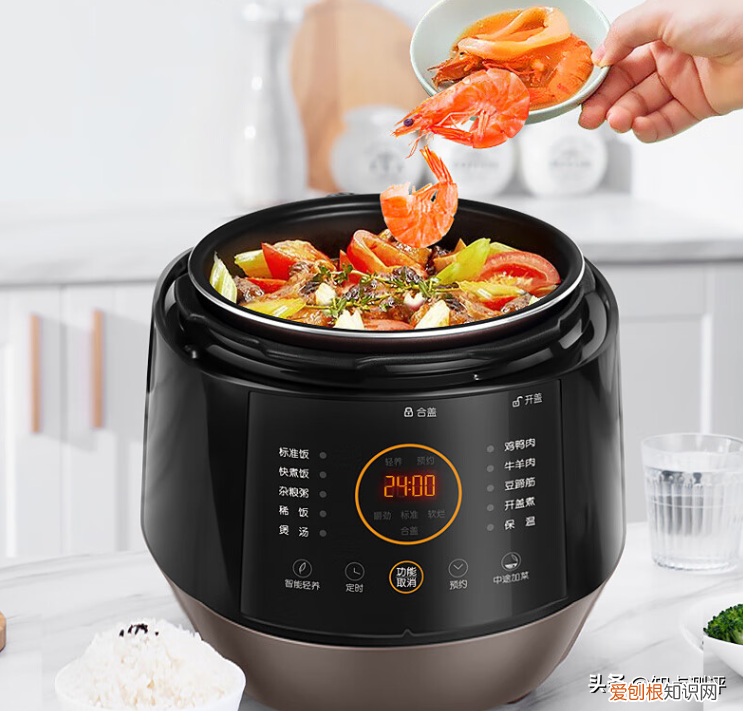 九阳电压力锅哪款性价比高?多型号评测