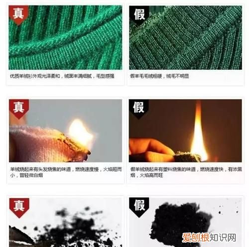 棉线燃烧产生什么气味,蜡烛燃烧运用什么观察方法