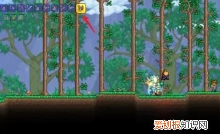 泰拉瑞亚恶魔之心怎么使用,泰拉瑞亚怎么增加饰品栏上限