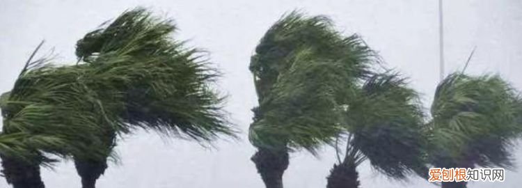 五级风有多大,五级风和七级风有多大