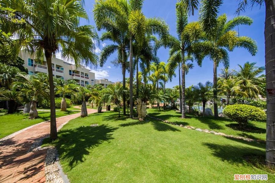 三亚亚龙湾入门级酒店：凯莱仙人掌度假酒店