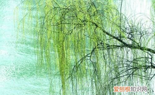 咏柳修辞手法有哪些,咏柳这首诗采用了什么样的修辞手法