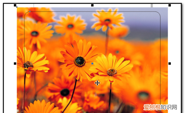 cdr怎么圆角,cdr矩形怎么变圆角