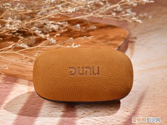 达音科DTW 1000H真无线耳机评测