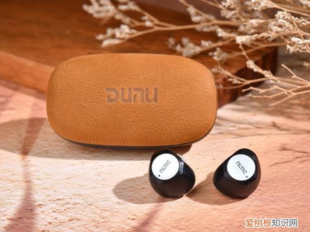 达音科DTW 1000H真无线耳机评测