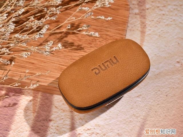 达音科DTW 1000H真无线耳机评测