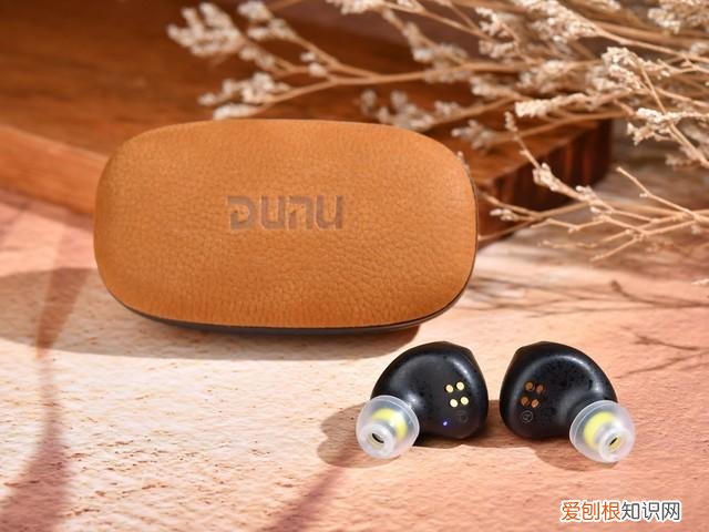 达音科DTW 1000H真无线耳机评测