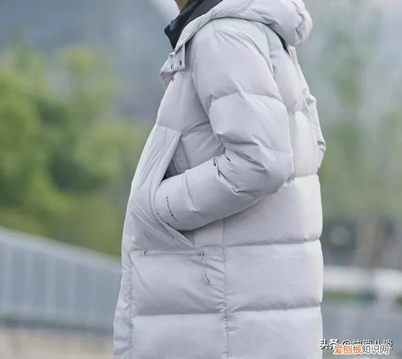 用鸭绒代替鹅绒?哥伦比亚、加拿大鹅被罚!