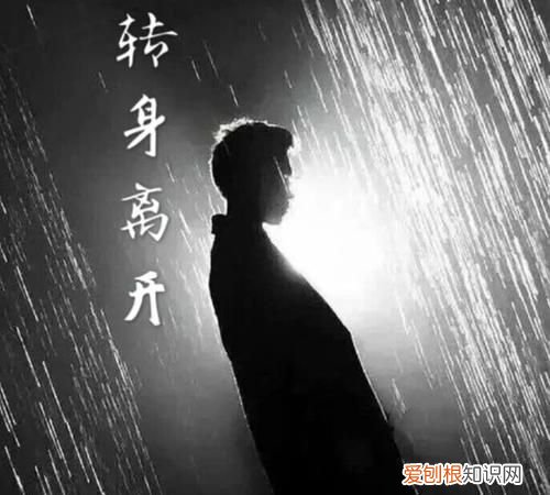 转身再离开是什么歌,转身便是陌路人什么意思