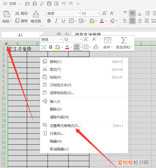 为什么表格里的文字没有全显出来